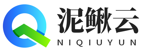 泥鳅云互联--企业级云服务商